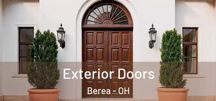 Exterior Doors Berea - OH