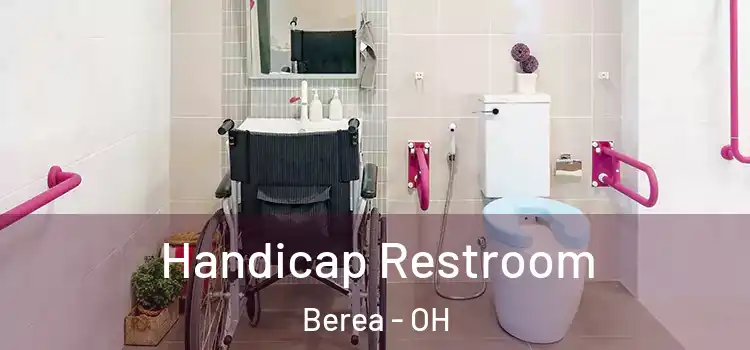  Handicap Restroom Berea - OH