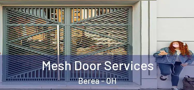 Mesh Door Services Berea - OH