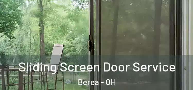 Sliding Screen Door Service Berea - OH